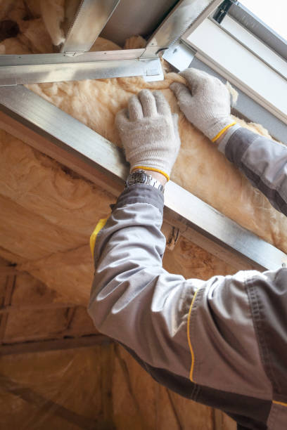 Best Insulation Maintenance and Repair in Silver Spring, MD