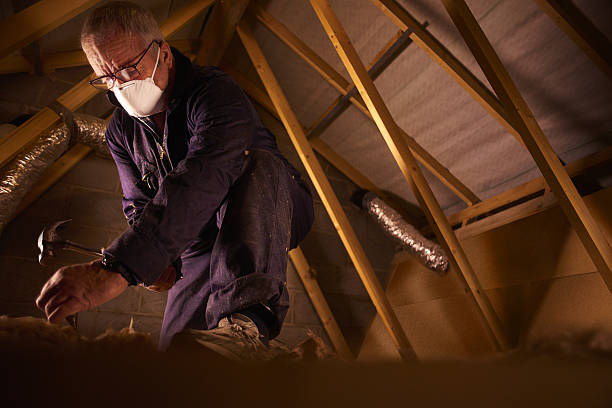 Best Insulation Materials and Products in Silver Spring, MD